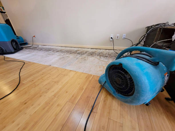 Professional Burst Pipe Water Damage technician working in Cleveland, MO